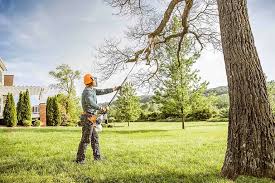 Best Hedge Trimming  in Arcola, TX